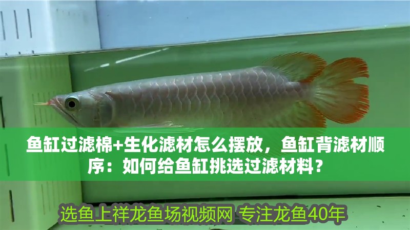 魚缸過濾棉+生化濾材怎么擺放，魚缸背濾材順序：如何給魚缸挑選過濾材料？