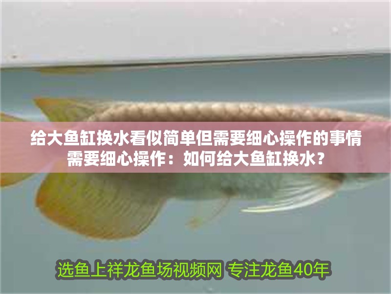 給大魚缸換水看似簡單但需要細(xì)心操作的事情需要細(xì)心操作：如何給大魚缸換水？