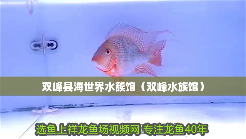 雙峰縣海世界水簇館（雙峰水族館）