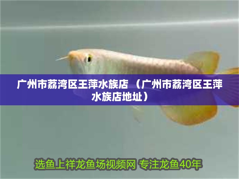 廣州市荔灣區(qū)王萍水族店 （廣州市荔灣區(qū)王萍水族店地址）