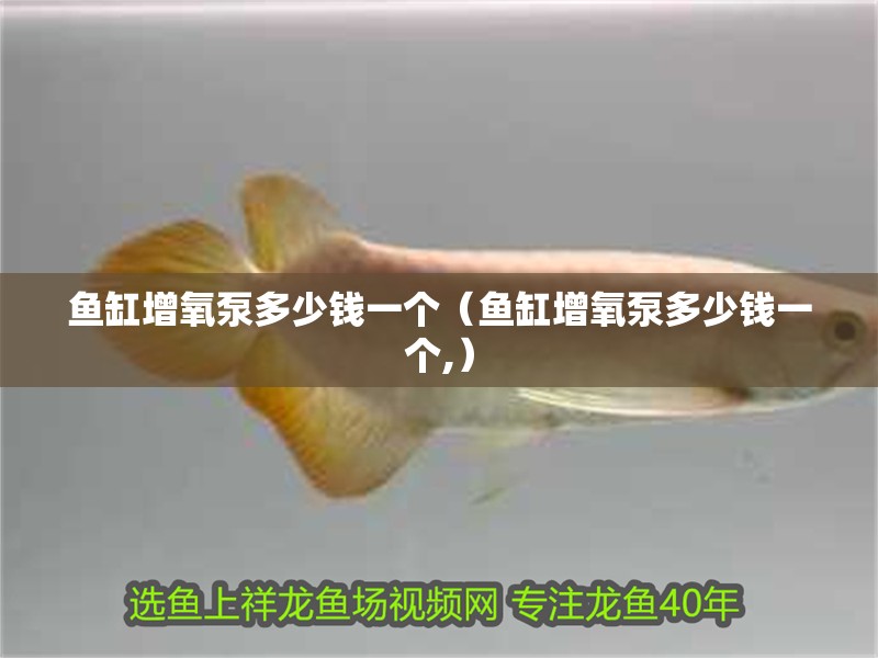 魚缸增氧泵多少錢一個(gè)（魚缸增氧泵多少錢一個(gè),）