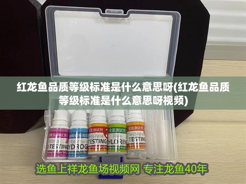 紅龍魚品質(zhì)等級(jí)標(biāo)準(zhǔn)是什么意思呀(紅龍魚品質(zhì)等級(jí)標(biāo)準(zhǔn)是什么意思呀視頻)