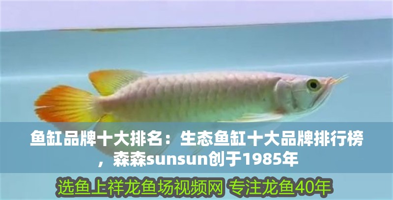 魚缸品牌十大排名：生態魚缸十大品牌排行榜，森森sunsun創于1985年