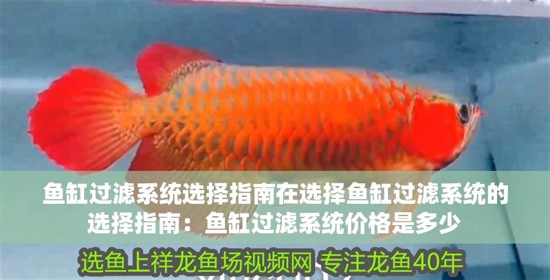 魚缸過濾系統選擇指南在選擇魚缸過濾系統的選擇指南：魚缸過濾系統價格是多少