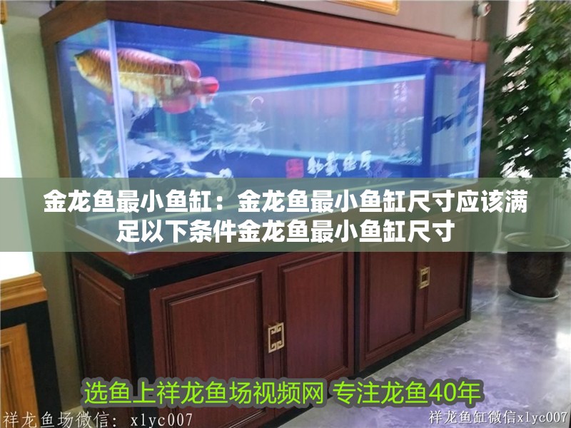 金龍魚最小魚缸：金龍魚最小魚缸尺寸應該滿足以下條件金龍魚最小魚缸尺寸