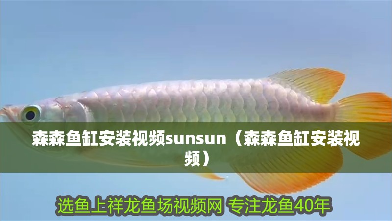 魚缸用增氧泵價(jià)格是多少:魚缸增氧機(jī)-xtrac增氧機(jī)-xtrac增氧機(jī) 森森魚缸安裝視頻sunsun(森森魚缸安裝視頻) 魚缸百科 森森魚缸安裝視頻sunsun(森森魚缸安裝視頻) 森森魚缸安裝視頻sunsun(森森魚缸安裝視頻) 魚缸百科