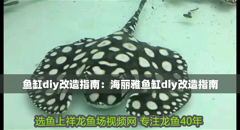 魚缸diy改造指南：海麗雅魚缸diy改造指南