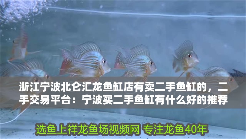 浙江寧波北侖匯龍魚(yú)缸店有賣二手魚(yú)缸的，二手交易平臺(tái)：寧波買二手魚(yú)缸有什么好的推薦？