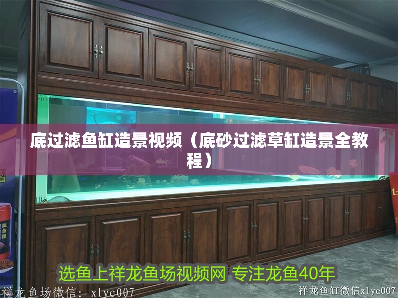 底過濾魚缸造景視頻（底砂過濾草缸造景全教程）