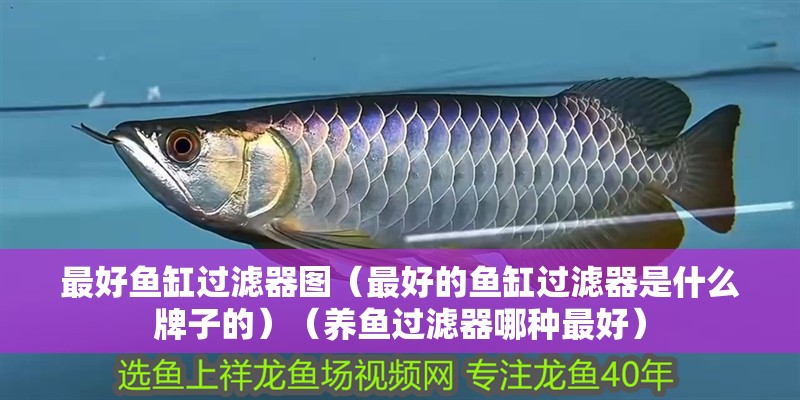 最好魚缸過濾器圖（最好的魚缸過濾器是什么牌子的）（養魚過濾器哪種最好）