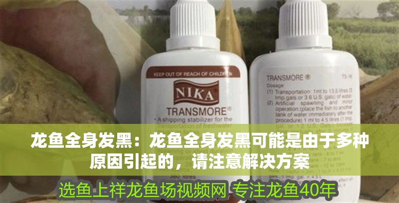 龍魚全身發黑：龍魚全身發黑可能是由于多種原因引起的，請注意解決方案