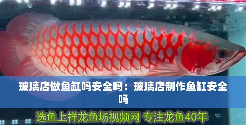 玻璃店做魚缸嗎安全嗎：玻璃店制作魚缸安全嗎