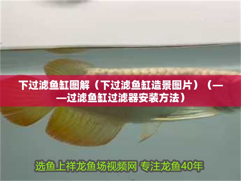 下過濾魚缸圖解（下過濾魚缸造景圖片）（——過濾魚缸過濾器安裝方法）
