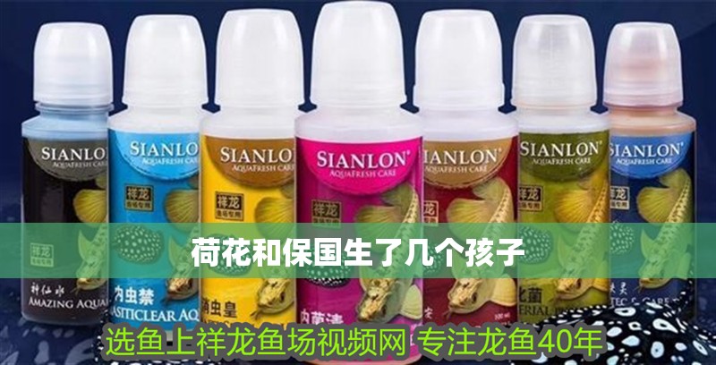 荷花和保國生了幾個孩子