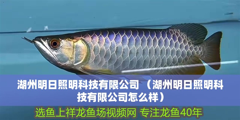 湖州明日照明科技有限公司 （湖州明日照明科技有限公司怎么樣）