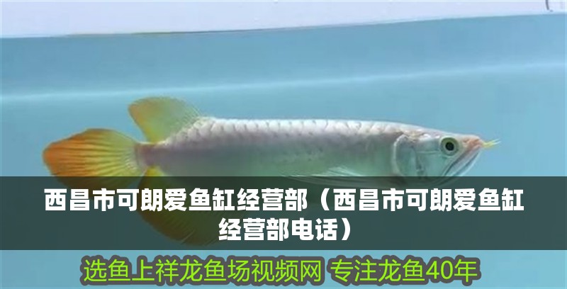 西昌市可朗愛魚缸經營部（西昌市可朗愛魚缸經營部電話）