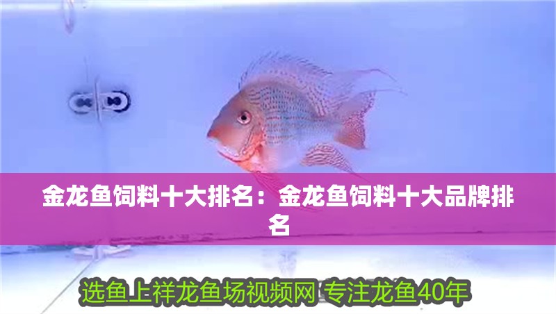 金龍魚(yú)飼料十大排名：金龍魚(yú)飼料十大品牌排名