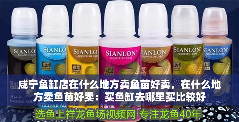咸寧魚缸店在什么地方賣魚苗好賣，在什么地方賣魚苗好賣：買魚缸去哪里買比較好