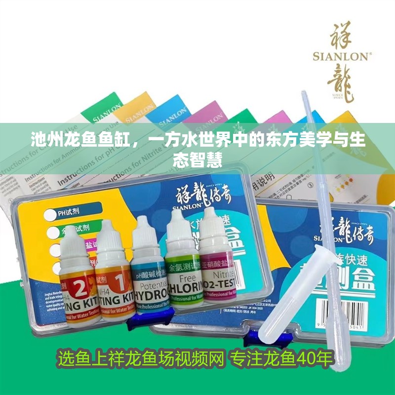 池州龍魚魚缸，一方水世界中的東方美學與生態(tài)智慧
