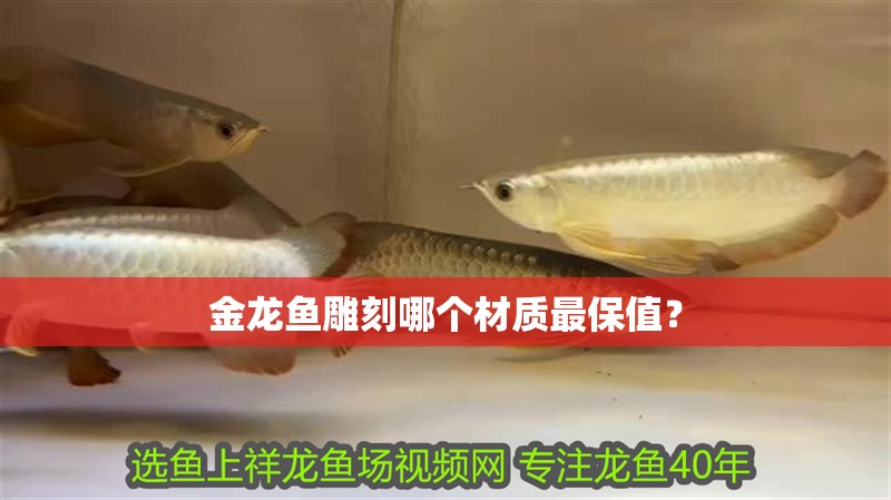 金龍魚雕刻哪個材質最保值？