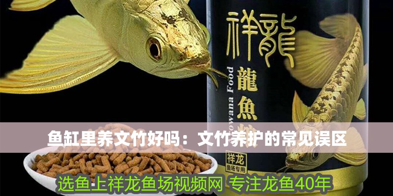 魚缸里養文竹好嗎：文竹養護的常見誤區