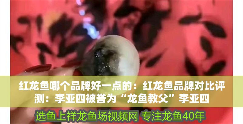 紅龍魚哪個品牌好一點的：紅龍魚品牌對比評測：李亞四被譽為“龍魚教父”李亞四