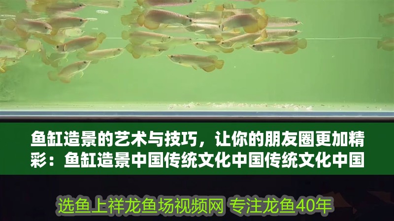 魚缸造景的藝術與技巧，讓你的朋友圈更加精彩：魚缸造景中國傳統文化中國傳統文化中國傳統文化魚缸造景