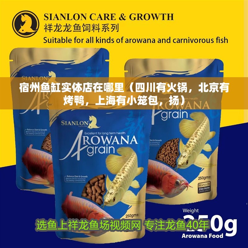 宿州魚缸實(shí)體店在哪里（四川有火鍋，北京有烤鴨，上海有小籠包，揚(yáng)）