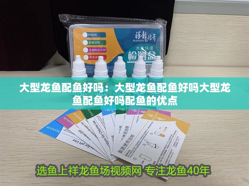 大型龍魚配魚好嗎：大型龍魚配魚好嗎大型龍魚配魚好嗎配魚的優點