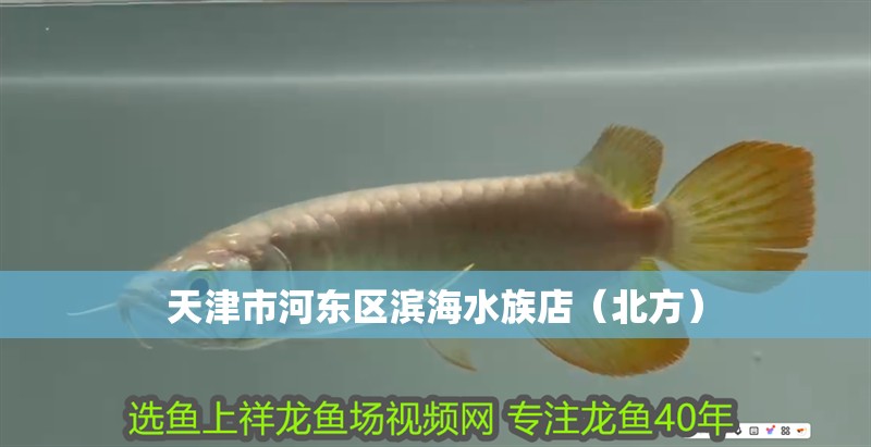 天津市河東區濱海水族店（北方）