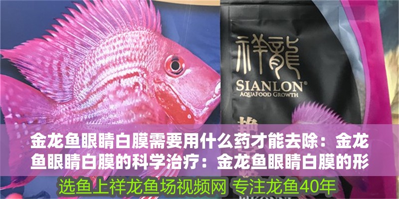 金龍魚眼睛白膜需要用什么藥才能去除：金龍魚眼睛白膜的科學治療：金龍魚眼睛白膜的形成原因及相應的治療方法