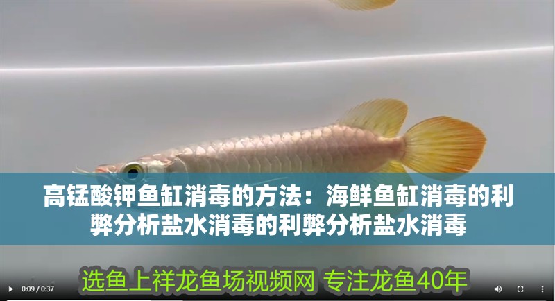 高錳酸鉀魚缸消毒的方法：海鮮魚缸消毒的利弊分析鹽水消毒的利弊分析鹽水消毒