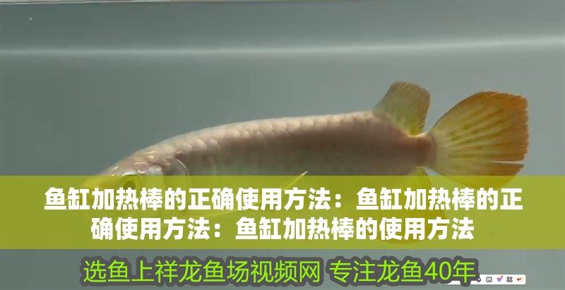 魚缸加熱棒的正確使用方法：魚缸加熱棒的正確使用方法：魚缸加熱棒的使用方法