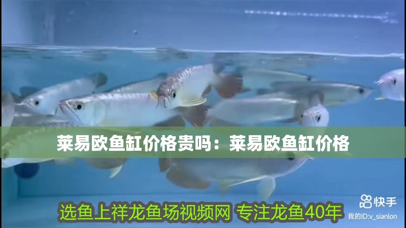 萊易歐魚缸價格貴嗎：萊易歐魚缸價格