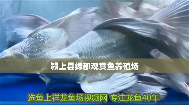 潁上縣綠都觀賞魚養殖場