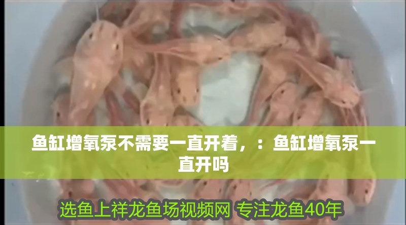 魚缸增氧泵不需要一直開著，：魚缸增氧泵一直開嗎