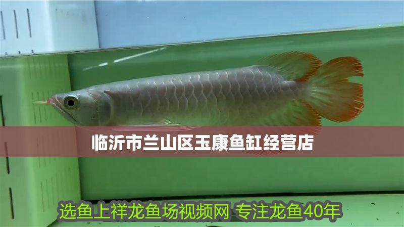 臨沂市蘭山區玉康魚缸經營店