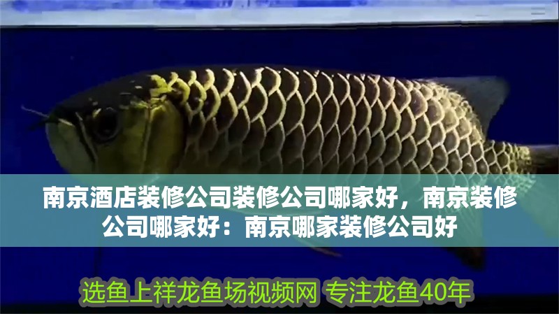 <strong><mark>南京</mark></strong>酒店裝修公司裝修公司哪家好，<strong><mark>南京</mark></strong>裝修公司哪家好：<strong><mark>南京</mark></strong>哪家裝修公司好