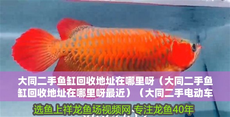 大同二手魚缸回收地址在哪里呀（大同二手魚缸回收地址在哪里呀最近）（大同二手電動車回收地址在哪里？）