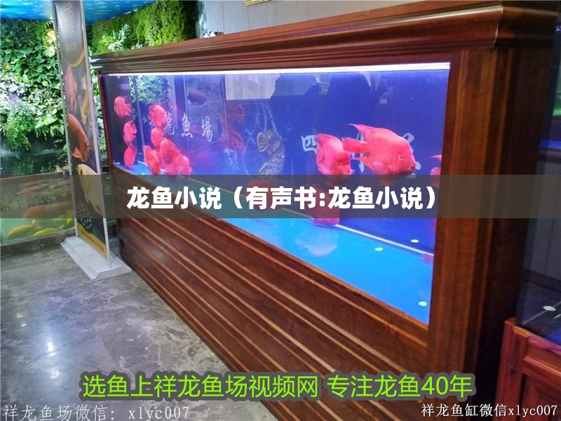龍魚小說（有聲書:龍魚小說）