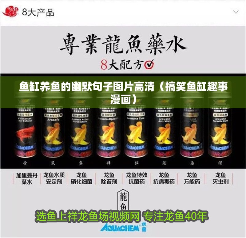 魚缸養(yǎng)魚的幽默句子圖片高清（搞笑魚缸趣事漫畫）