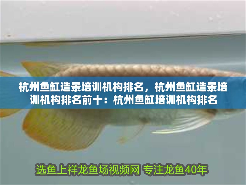 杭州魚缸造景培訓機構排名，杭州魚缸造景培訓機構排名前十：杭州魚缸培訓機構排名
