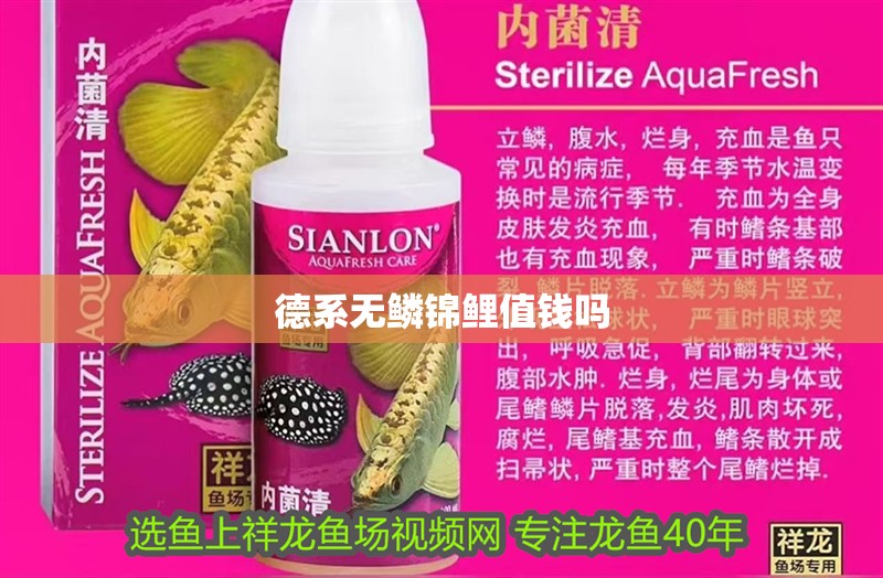 德系無鱗錦鯉值錢嗎