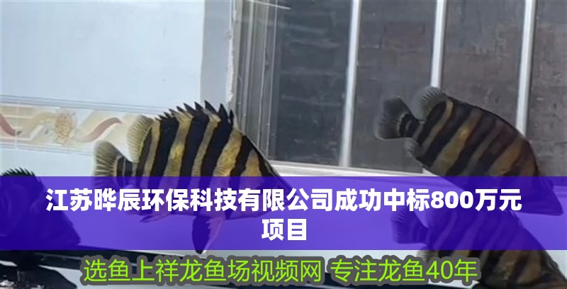 江蘇曄辰環保科技有限公司成功中標800萬元項目