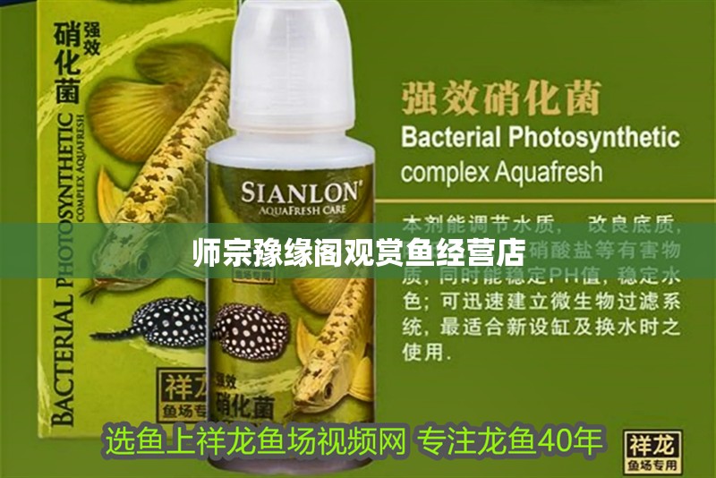 師宗豫緣閣觀賞魚經營店