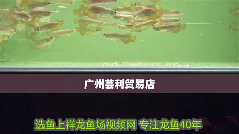 廣州蕓利貿易店