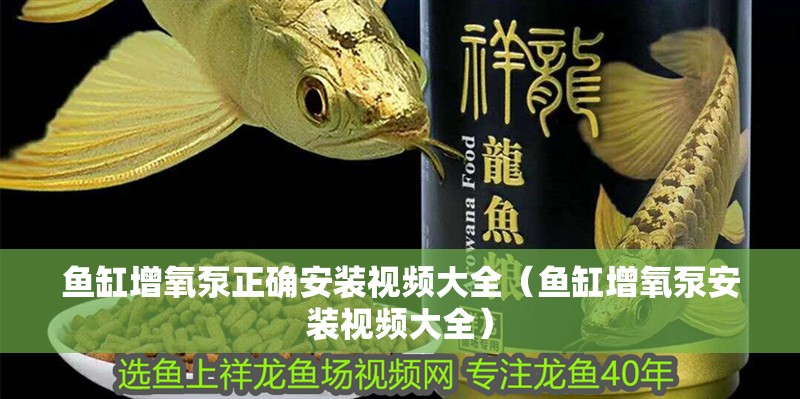 魚缸過濾器選購指南:自制魚缸過濾器魚缸上置過濾器對于養魚愛好者的必備知識 魚缸增氧泵正確安裝視頻大全(魚缸增氧泵安裝視頻大全) 魚缸百科 魚缸增氧泵正確安裝視頻大全(魚缸增氧泵安裝視頻大全) 魚缸增氧泵正確安裝視頻大全(魚缸增氧泵安裝視頻大全) 魚缸百科