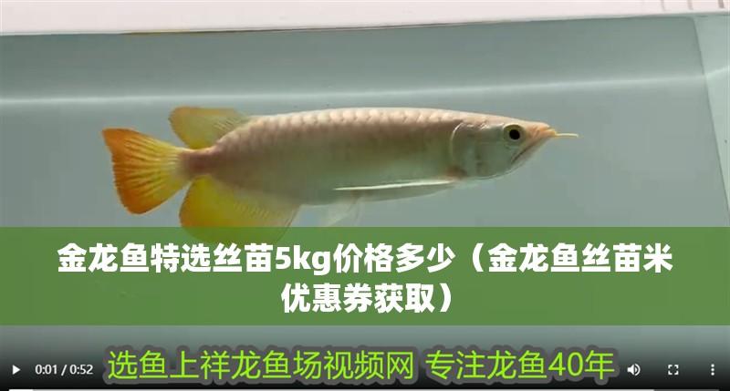 金龍魚特選絲苗5kg價格多少（金龍魚絲苗米優惠券獲取）