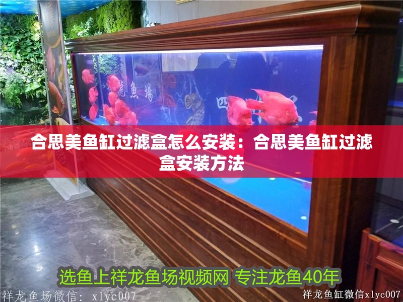 合思美魚缸過濾盒怎么安裝：合思美魚缸過濾盒安裝方法