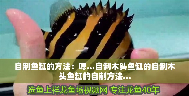 自制魚缸的方法：嗯…自制木頭魚缸的自制木頭魚缸的自制方法… 自制魚缸的方法：嗯…自制木頭魚缸的自制木頭魚缸的自制方法… 魚缸百科